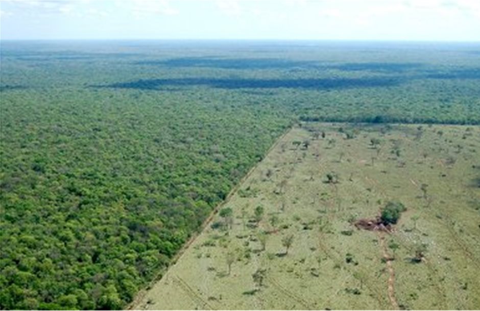 Τροπικό δάσος 860.000 στρ. για υλοτομία, γεωργία και εξόρυξη στη Βραζιλία